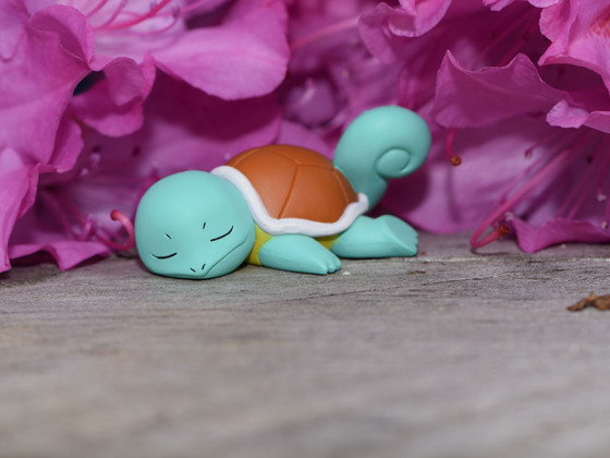 16-005.2 Tired Squirtle