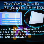 Verbindung mit Nintendo DS-System