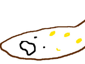 Fluischlik vom 25hbc