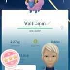 Shundo Voltilamm