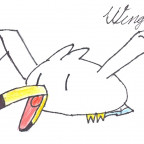 Wingull