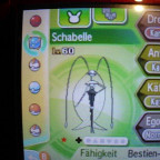 Shiny Schabelle (4-6std. resettet)