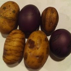 Ostereier und -kartoffeln (Eierfarbe: Lila)