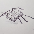 Schoko-Käfer (10 Minuten-Zeichnung)