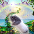 R.I.P. Krümel