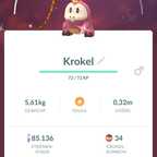 Shiny Krokel #2