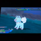 Shiny Wuffels