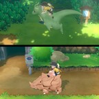 Meine Liebsten ✨ Reitpokemon