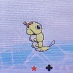 Shiny Rauby