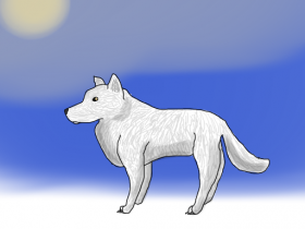 Ein weißer Wolf