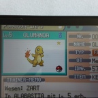 Shiny Glumanda auf Feuerrot