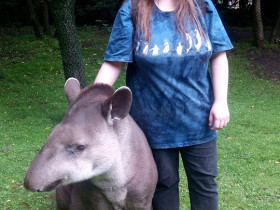 Braver Tapir :D