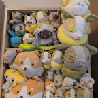 Ein Regal mit Voldis!