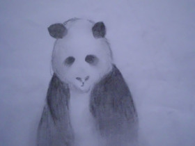 Pandabär'chen & so