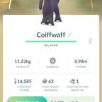 Shiny Coiffwaff #1