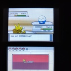 Shiny Lektrobal in SS
