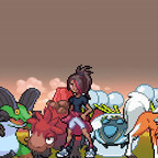Pokémon Desolation aktuelles Team